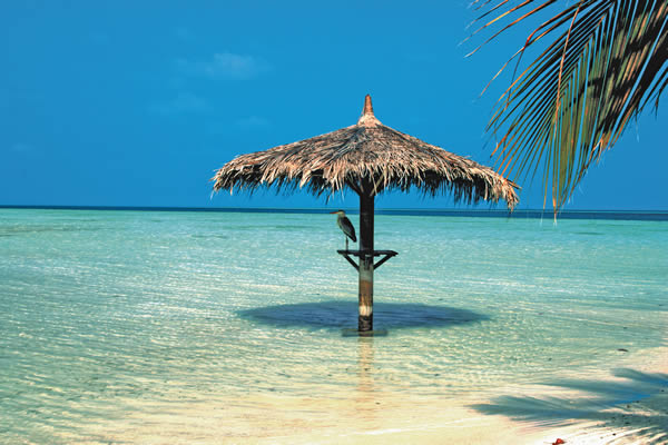 Vilamendhoo Island 8Q7EJ DX News Vilamendhoo Island 8Q7EJ DX News